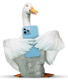 DuckWithMobileDesktop